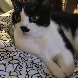 Meet your Posher, Tammy